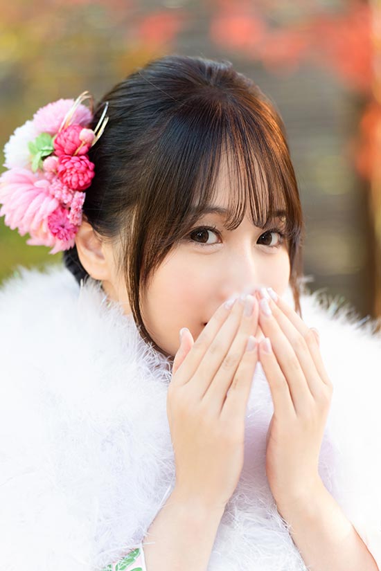 NEW YEAR Collection4