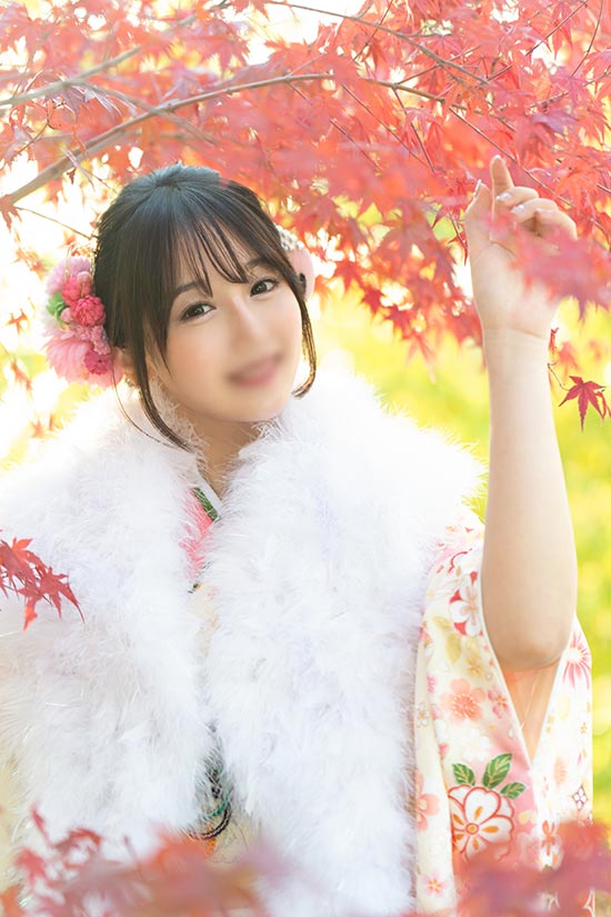NEW YEAR Collection5