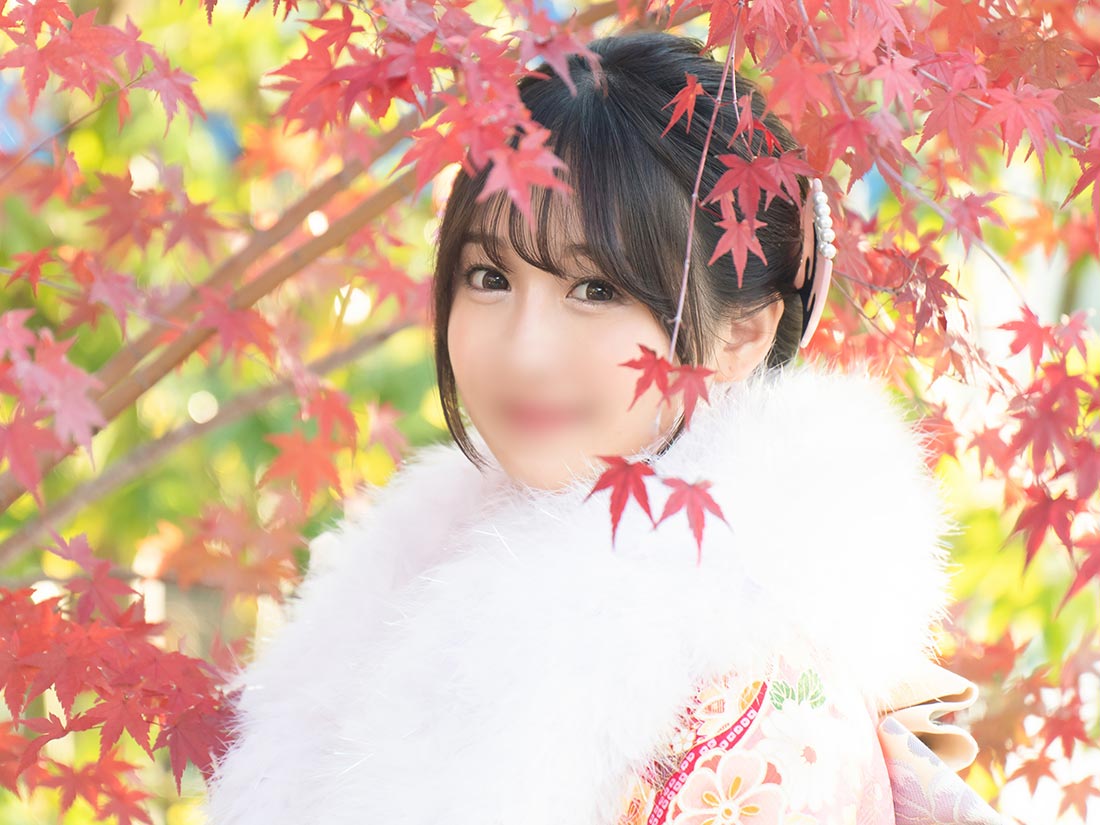 NEW YEAR Collection6
